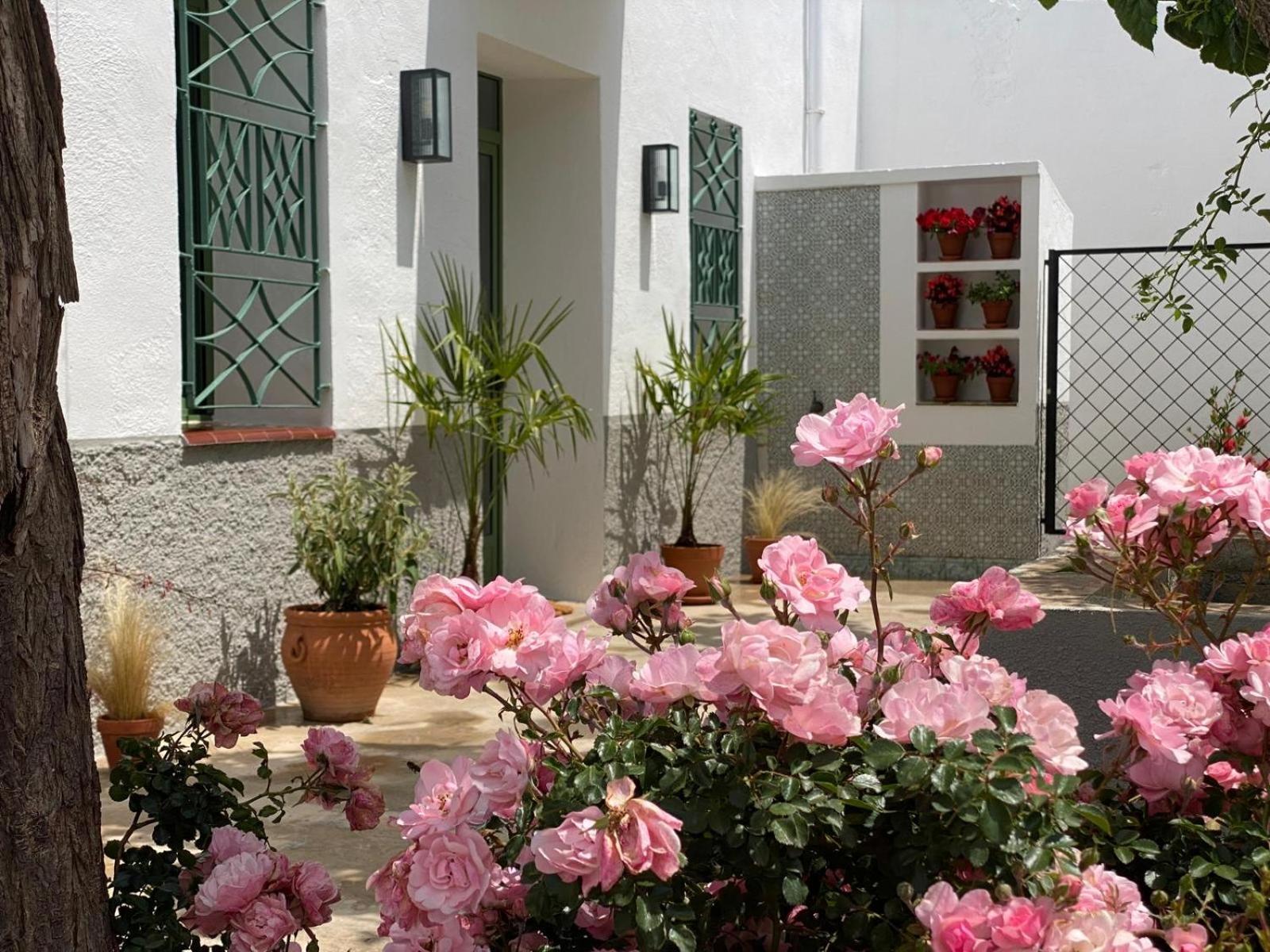 Les Filles Hotel Deltebre Bagian luar foto
