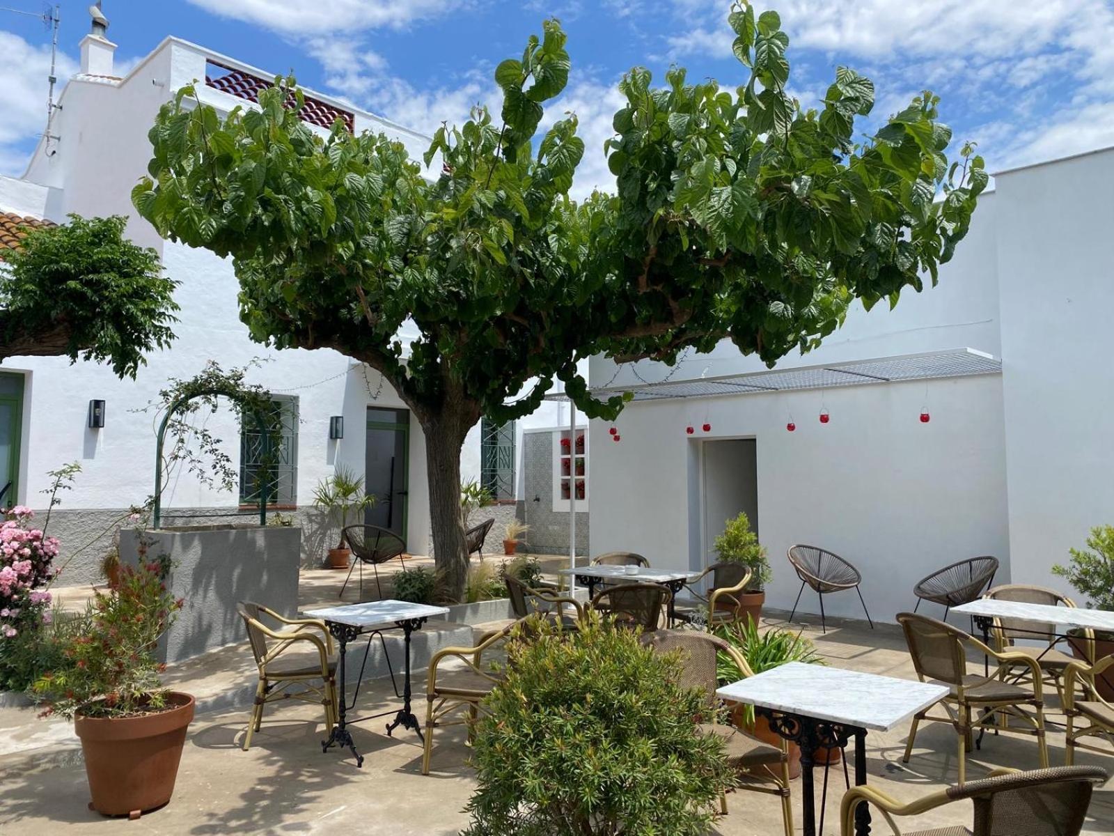 Les Filles Hotel Deltebre Bagian luar foto